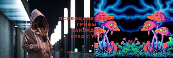 прущие крисы Арсеньев