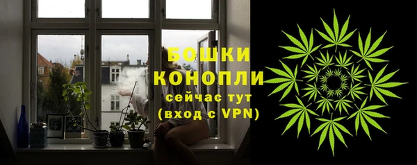 spice Аркадак