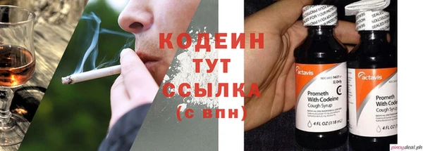 spice Аркадак