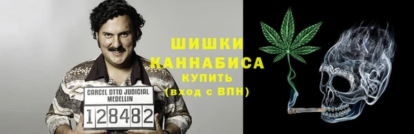 spice Аркадак