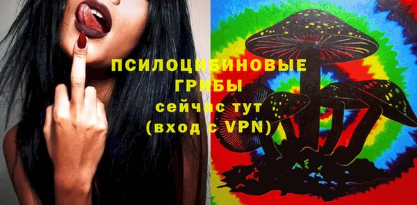 прущие крисы Арсеньев