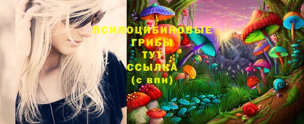 spice Аркадак