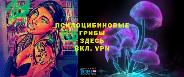 прущий лед Алексеевка