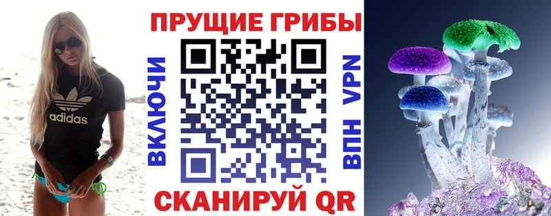 Псилоцибиновые грибы Cubensis  Таруса 